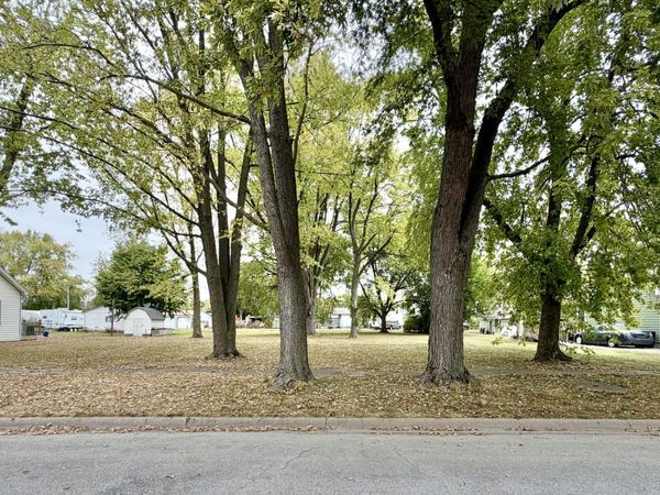 313 E Orchard Street, Forrest, IL 61741