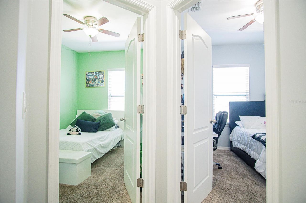 11636 Water Run Alley, Windermere, FL 34786 Photo