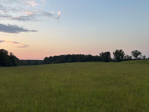 Hwy 43, Carthage, MS 39051