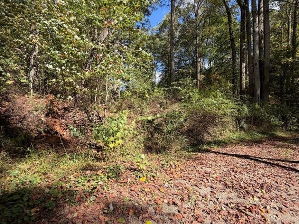 Orchard Hill RD, BEAVER, WV 25813