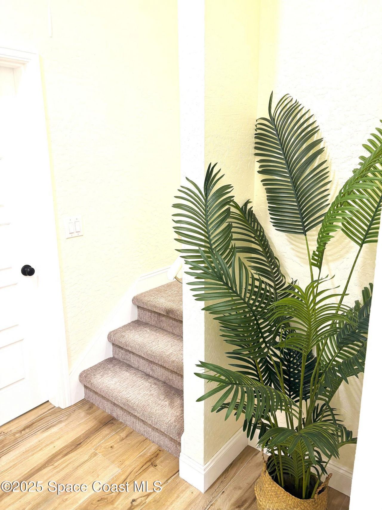 5570 Sanctuary Avenue, Grant, FL 32949 Photo