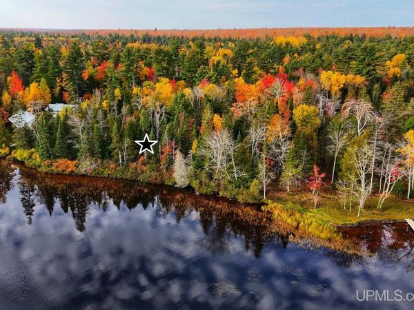 50542 Paradise Lane, Torch Lake Twp, MI 49945