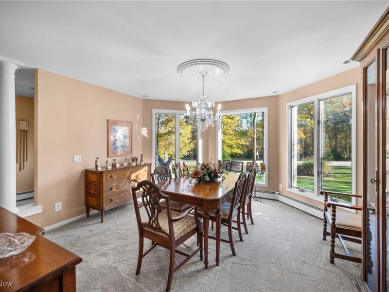 10885 Scranton Woods Trail, Newbury, OH 44065 Photo 6