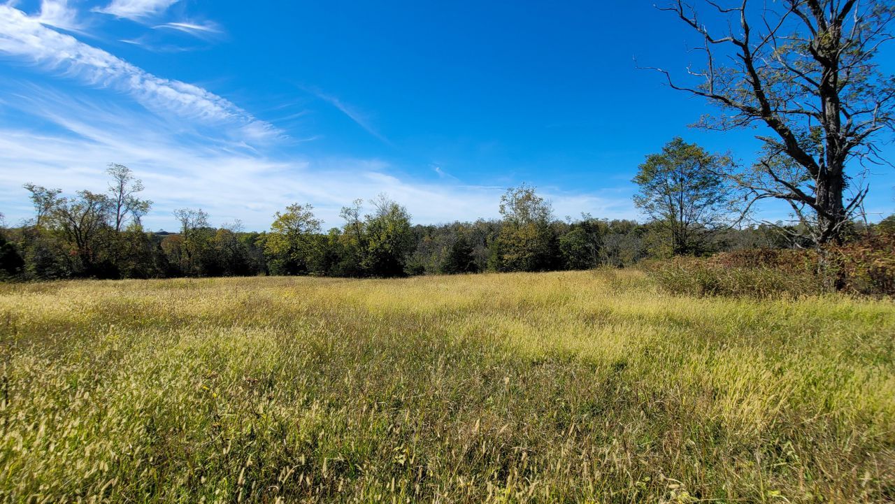 595 Tulip Poplar Lane, Flemingsburg, KY 41041