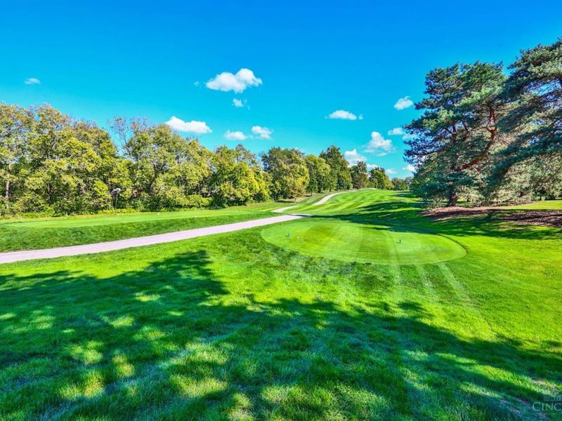 86 Carpenters Ridge, Blue Ash, OH 45241 Photo 44