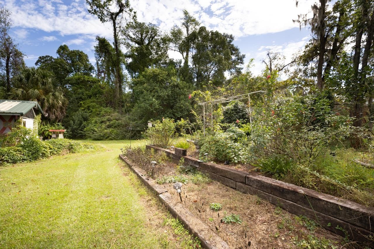 515 E Palmer Mill Road, Monticello, FL 32344 Photo