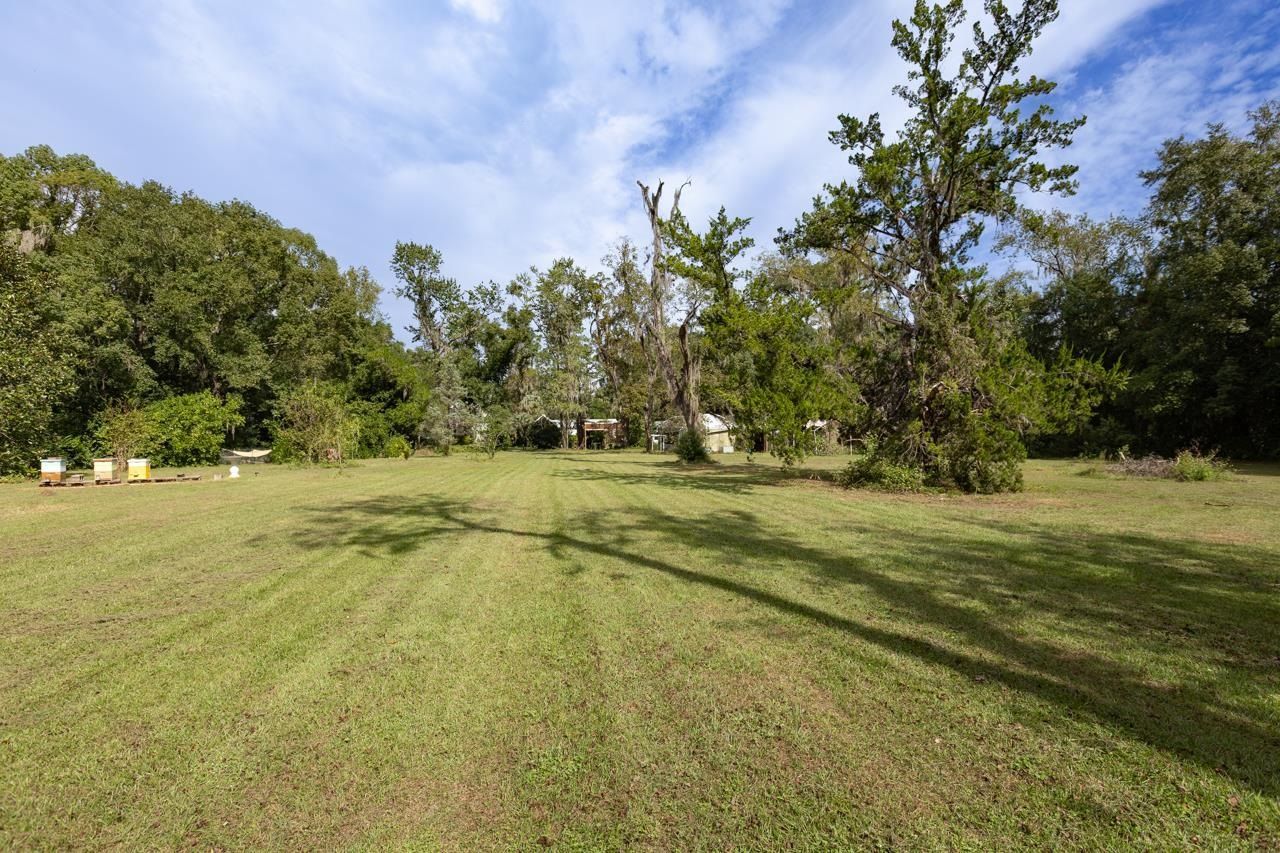 515 E Palmer Mill Road, Monticello, FL 32344 Photo