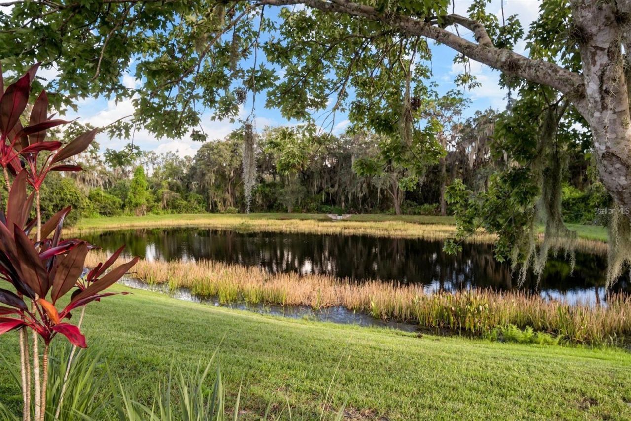 12930 Nightshade Place, Lakewood Ranch, FL 34202 Photo