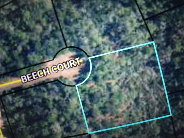 000 Beech Court, Alford, FL 32420