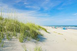 80 Mullet Bay Rd photo 4