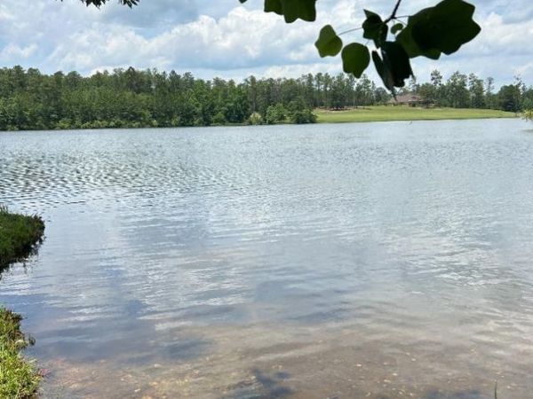 0 Lake Juniper Road, Brewton, AL 36426