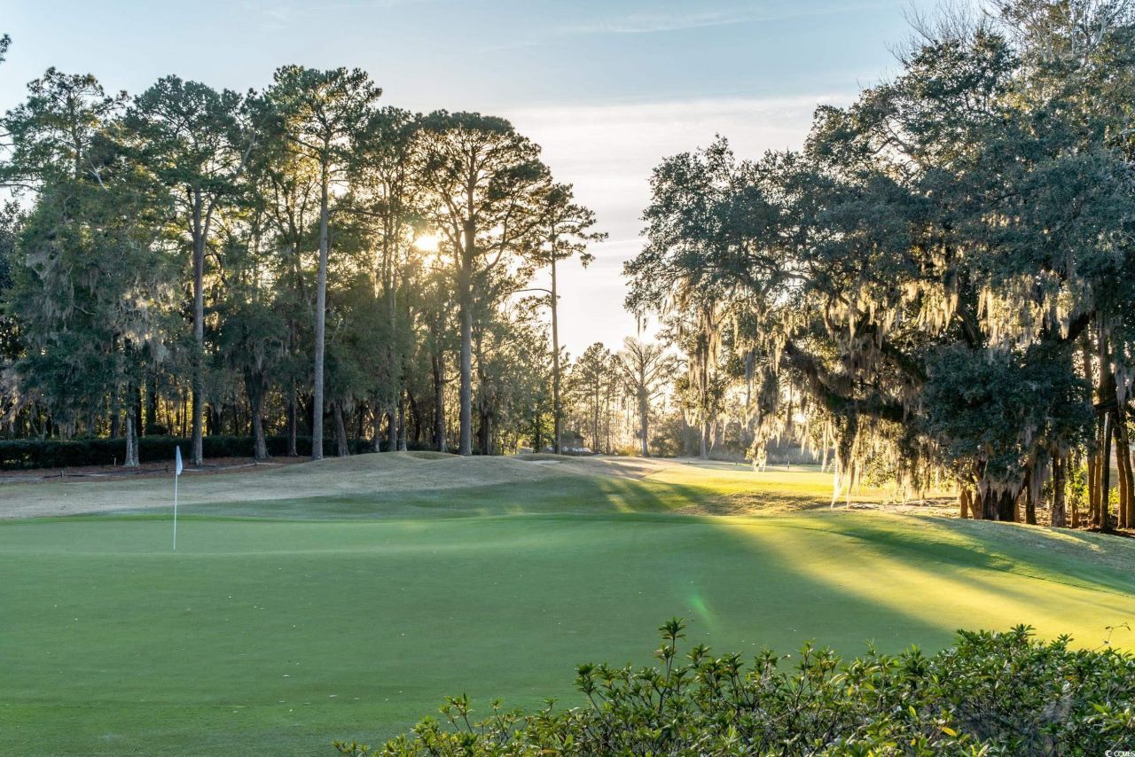 1058 Doral Dr. Photo 36