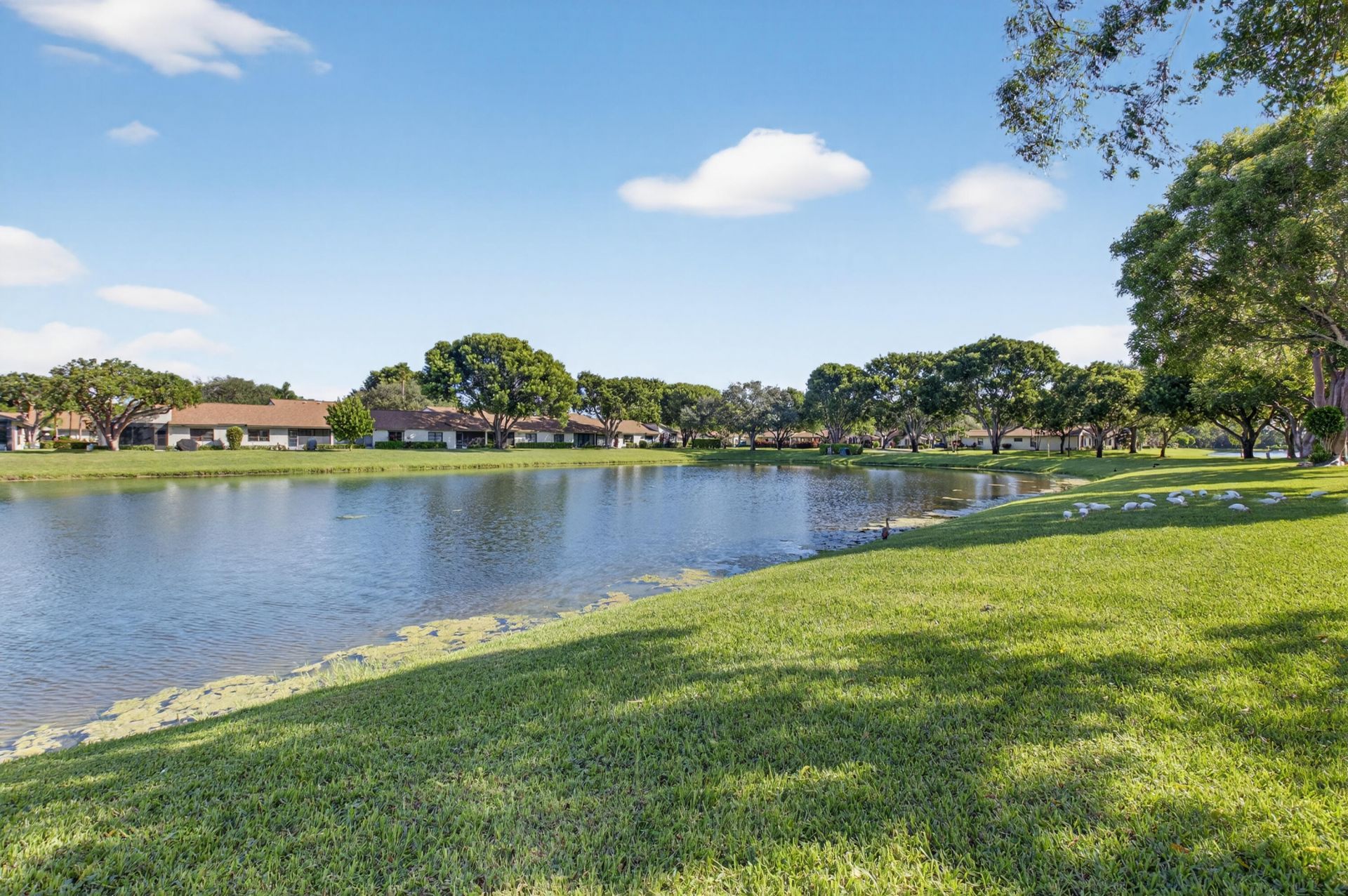 8205 Springview Terrace, Boca Raton, FL 33496 Photo