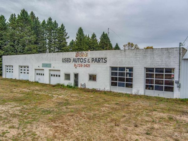 6590 Esmond Road, Hale, MI 48739