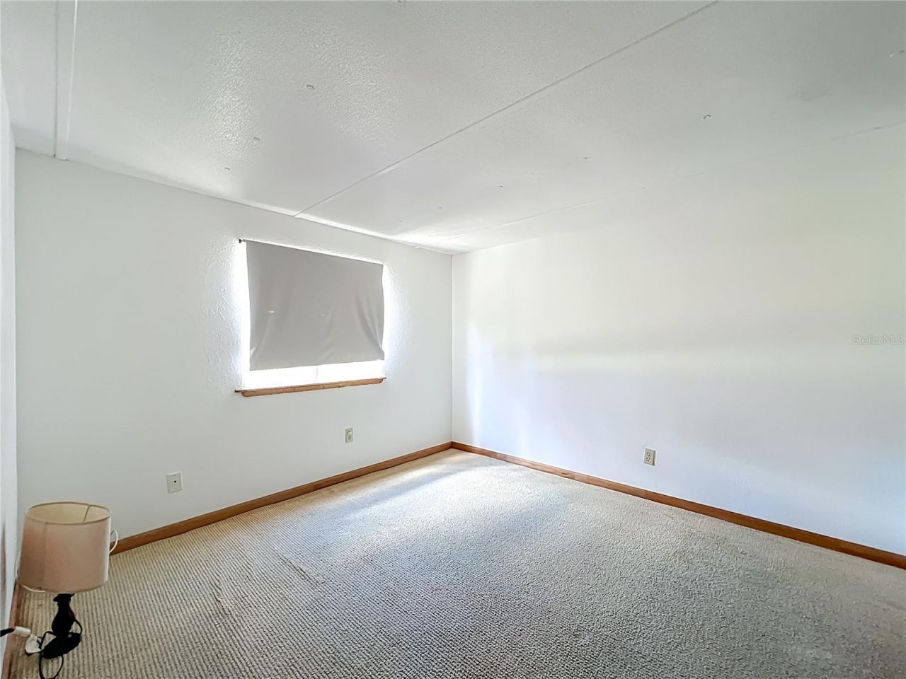 12611 NE 36th Avenue, Anthony, FL 32617 Photo