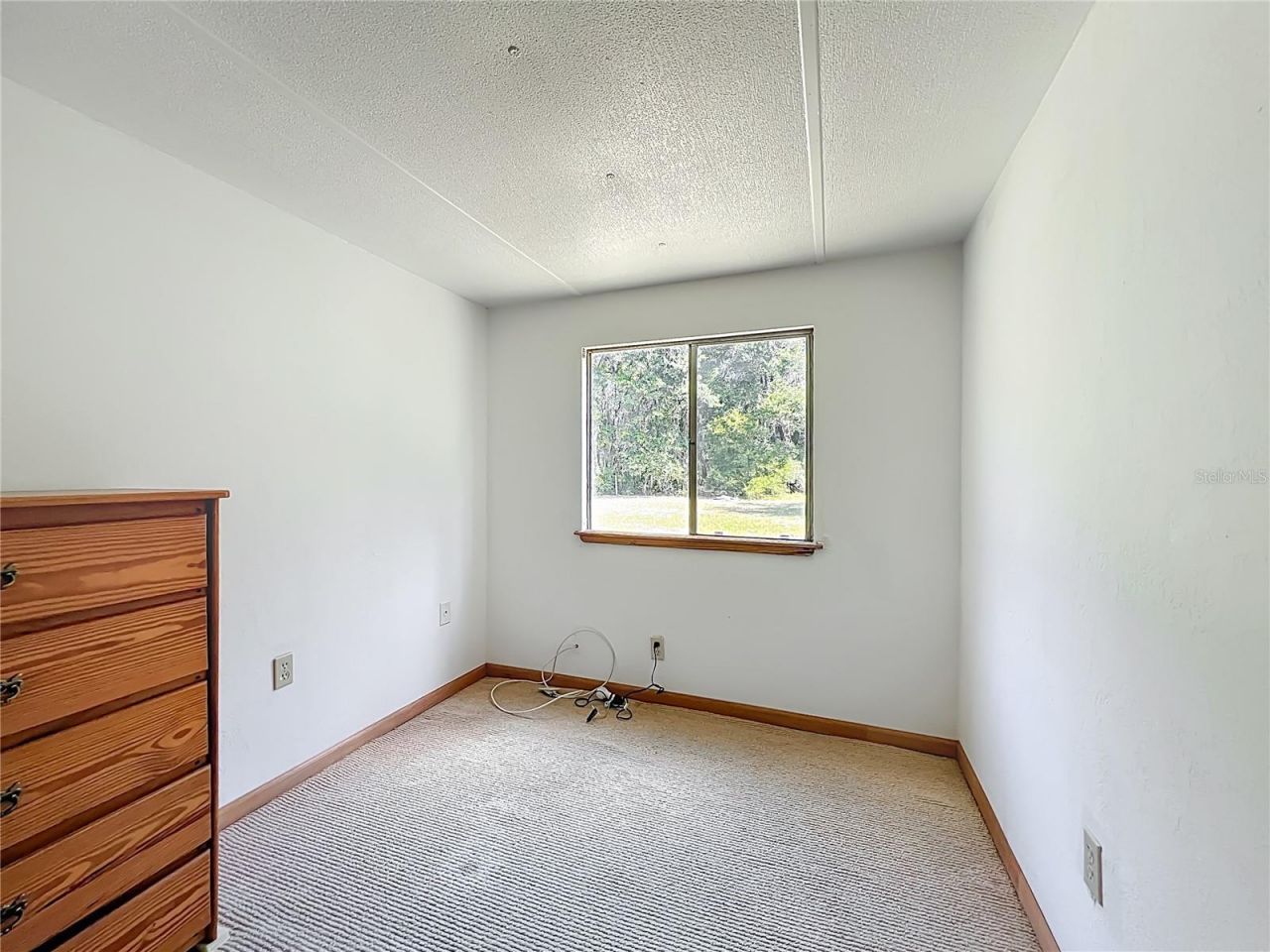 12611 NE 36th Avenue, Anthony, FL 32617 Photo