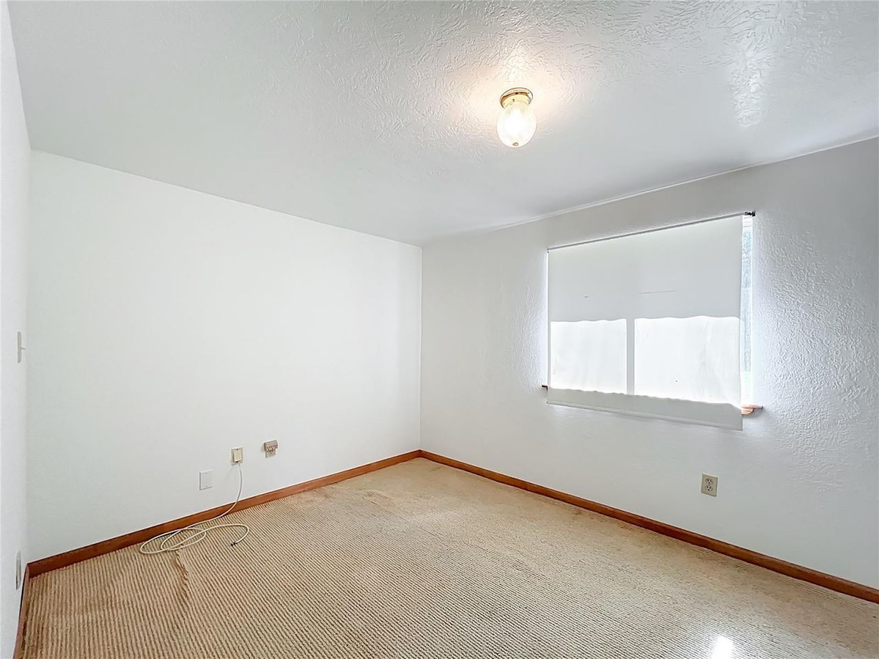 12611 NE 36th Avenue, Anthony, FL 32617 Photo