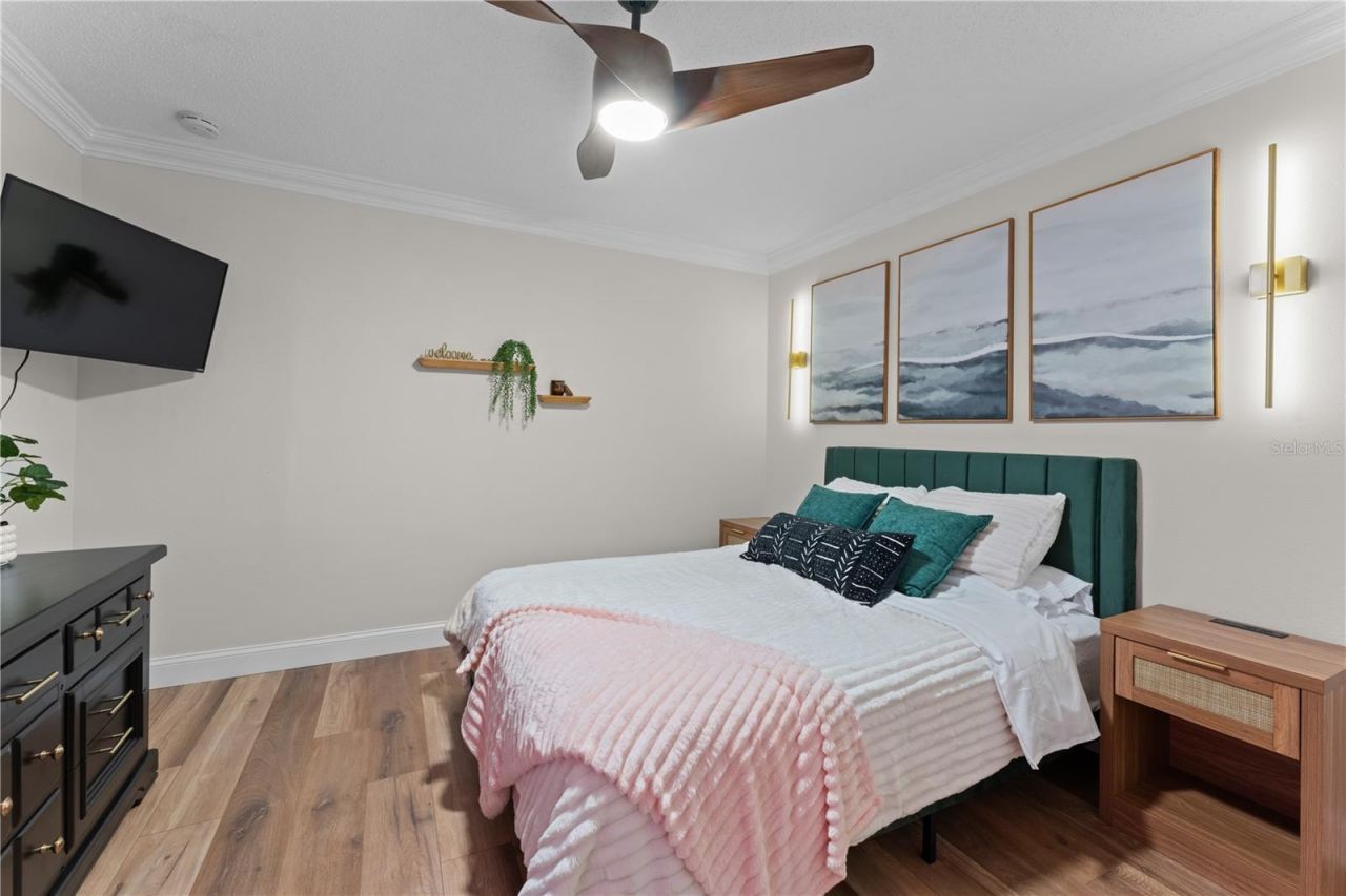 3300 Floramar Terrace, New Port Richey, FL 34652 Photo