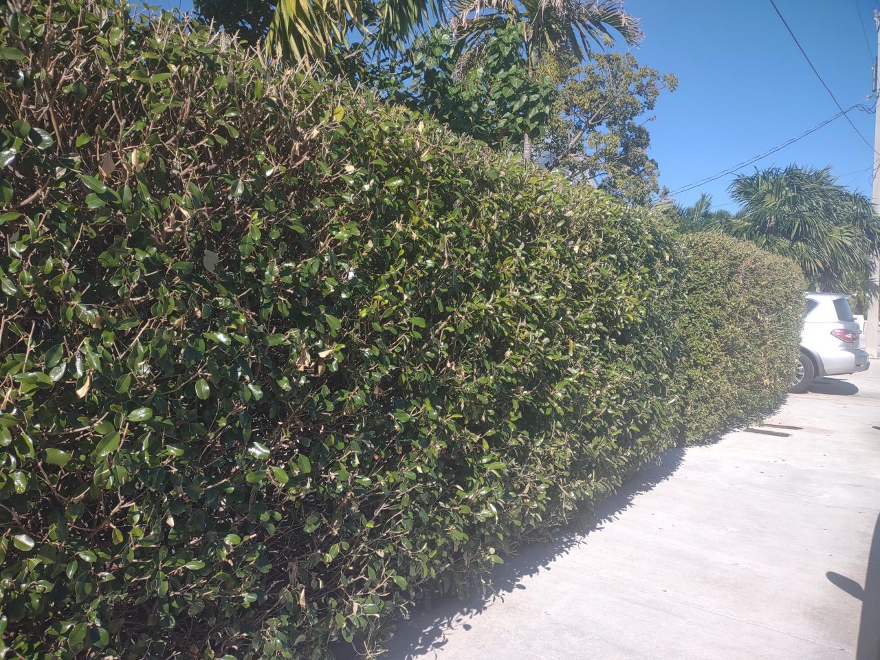 2311 Patterson Avenue, Key West, FL 33040 Photo