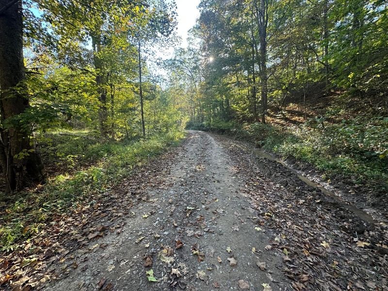 39454 Boston Road, Reedsville, OH 45772 Photo 11