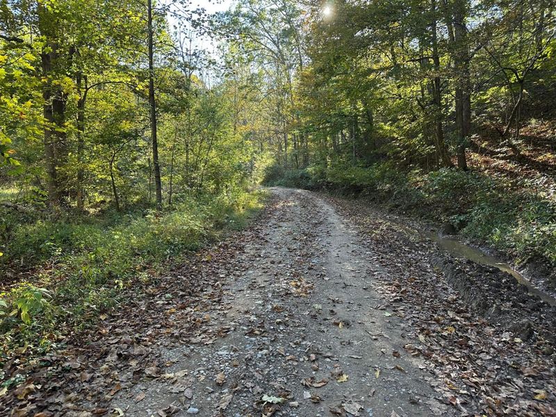 39454 Boston Road, Reedsville, OH 45772 Photo 12