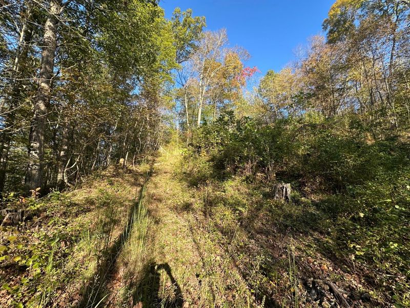 39454 Boston Road, Reedsville, OH 45772 Photo 13