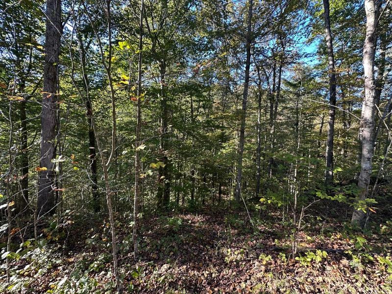 39454 Boston Road, Reedsville, OH 45772 Photo 15