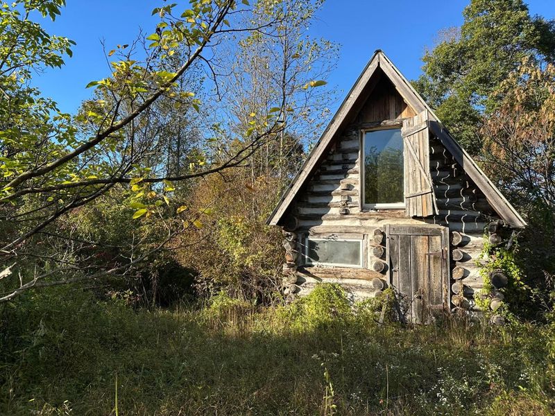 39454 Boston Road, Reedsville, OH 45772 Photo 17