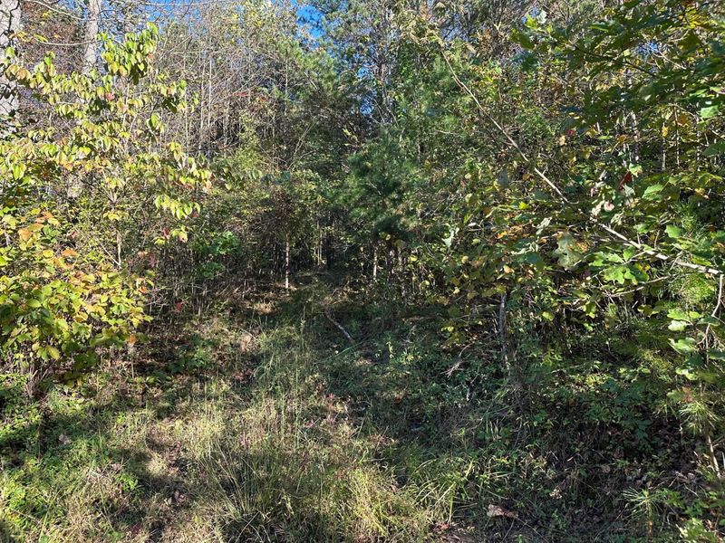 39454 Boston Road, Reedsville, OH 45772 Photo 18