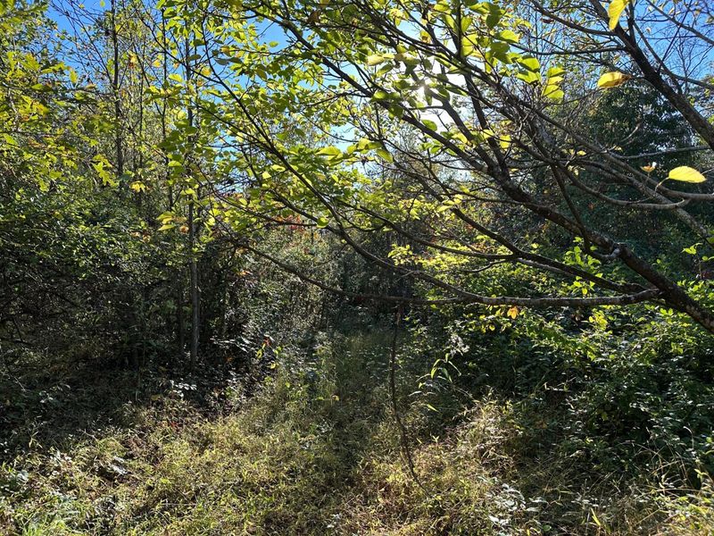 39454 Boston Road, Reedsville, OH 45772 Photo 19