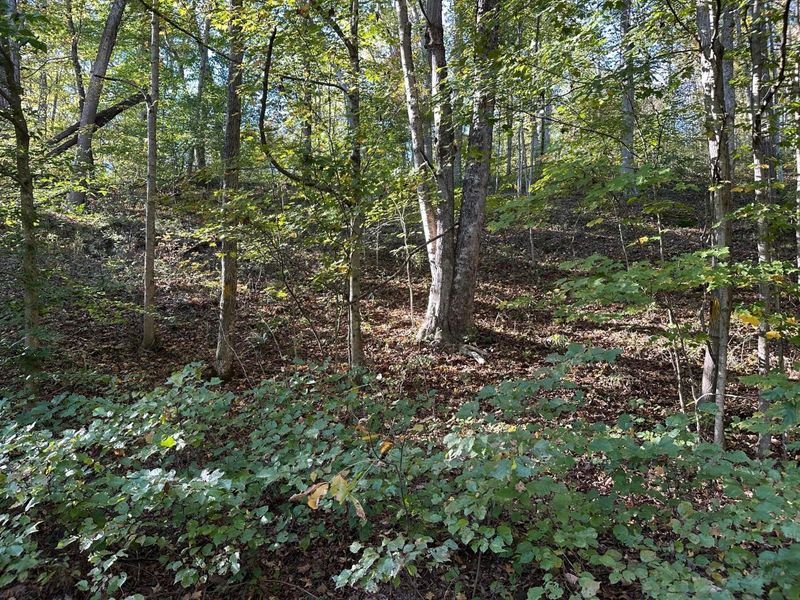 39454 Boston Road, Reedsville, OH 45772 Photo 2