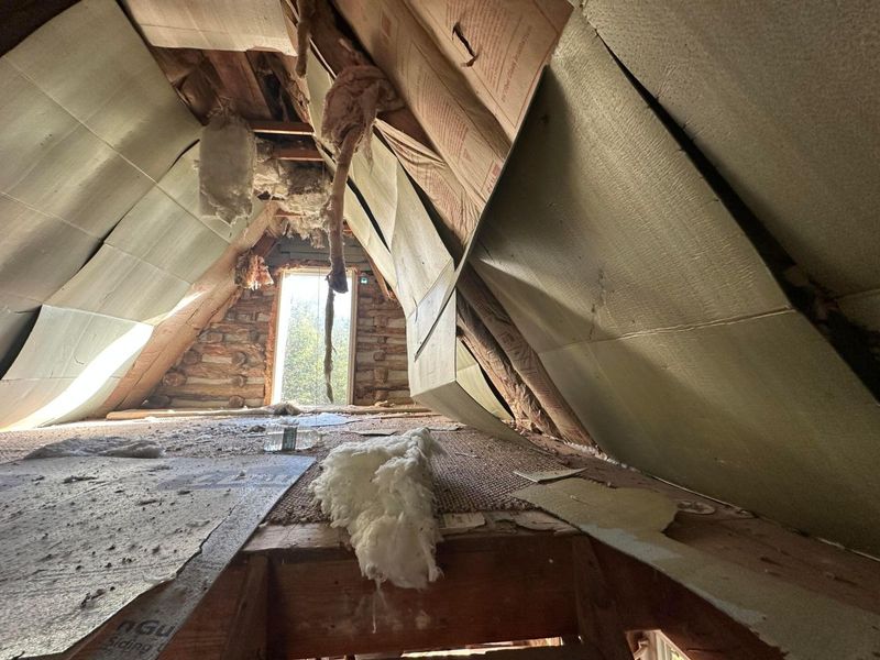 39454 Boston Road, Reedsville, OH 45772 Photo 21