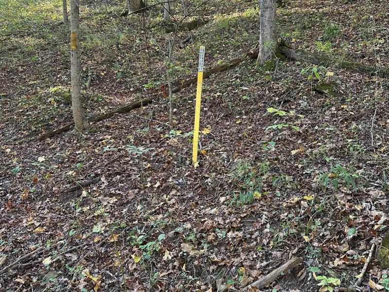 39454 Boston Road, Reedsville, OH 45772 Photo 3