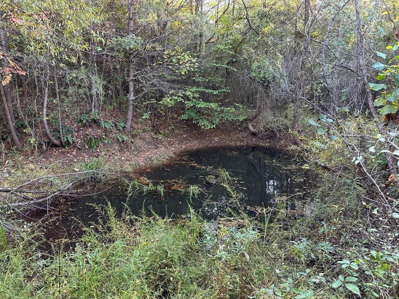 39454 Boston Road, Reedsville, OH 45772 Photo 31