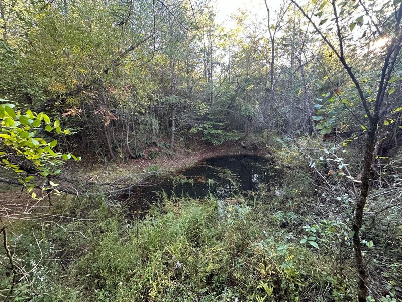 39454 Boston Road, Reedsville, OH 45772 Photo 32