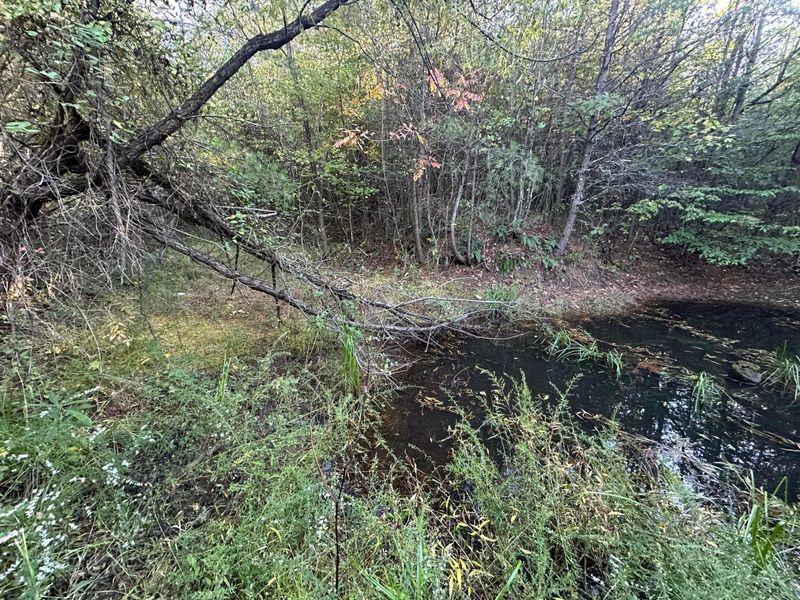 39454 Boston Road, Reedsville, OH 45772 Photo 33