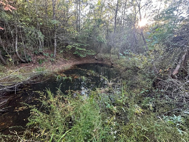 39454 Boston Road, Reedsville, OH 45772 Photo 34