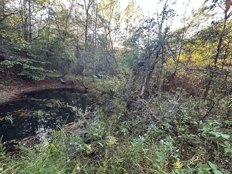 39454 Boston Road, Reedsville, OH 45772 Photo 35