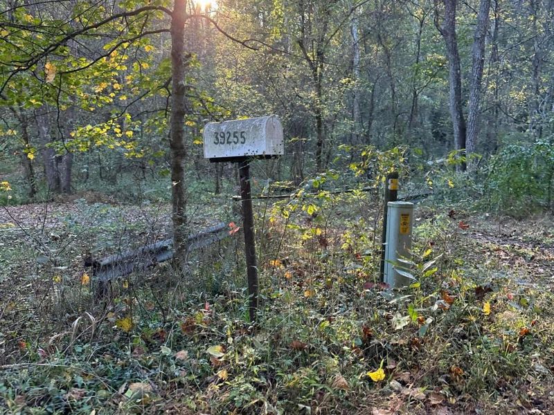 39454 Boston Road, Reedsville, OH 45772 Photo 37