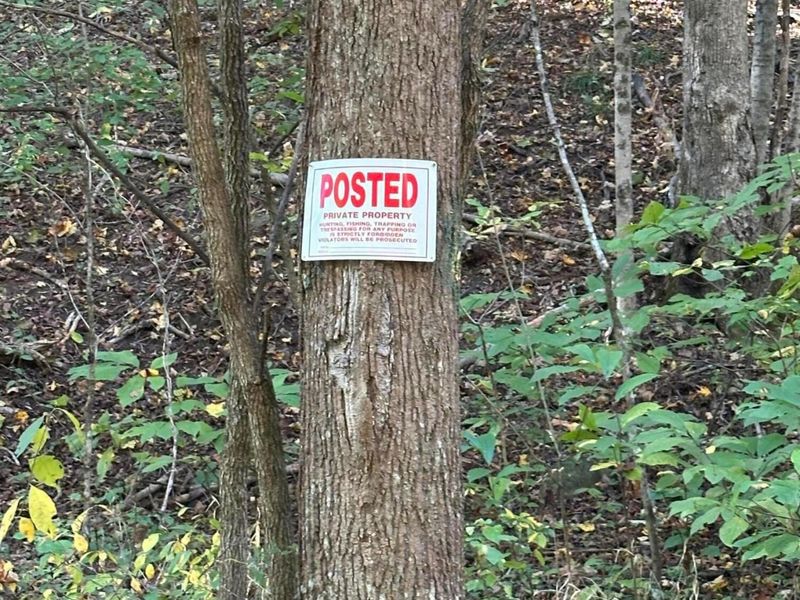 39454 Boston Road, Reedsville, OH 45772 Photo 5