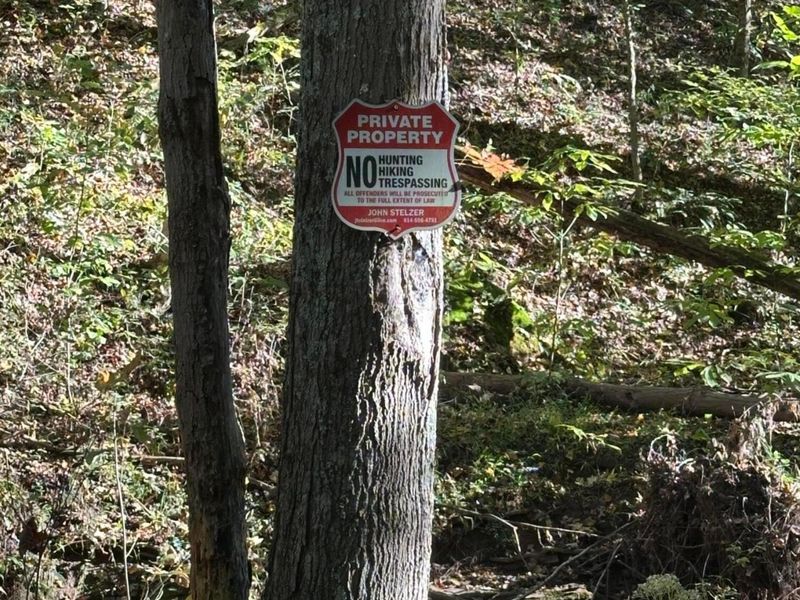 39454 Boston Road, Reedsville, OH 45772 Photo 6