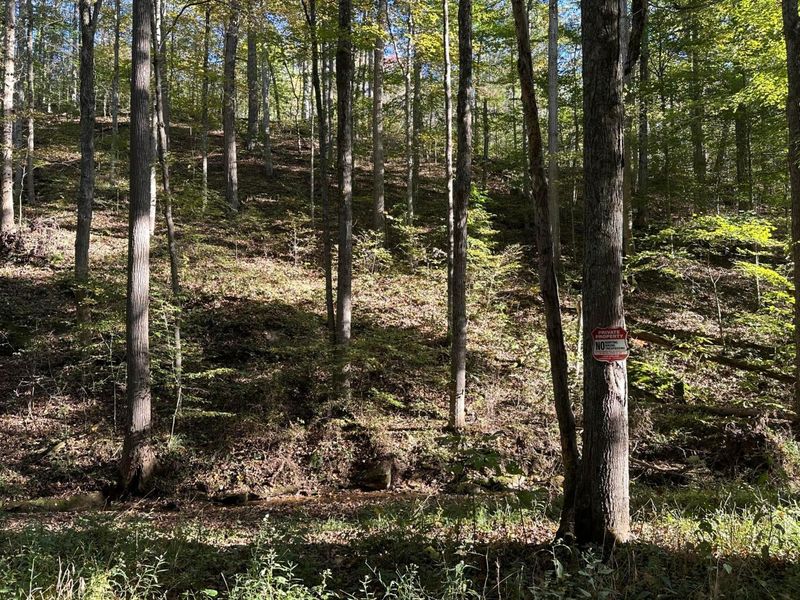 39454 Boston Road, Reedsville, OH 45772 Photo 7