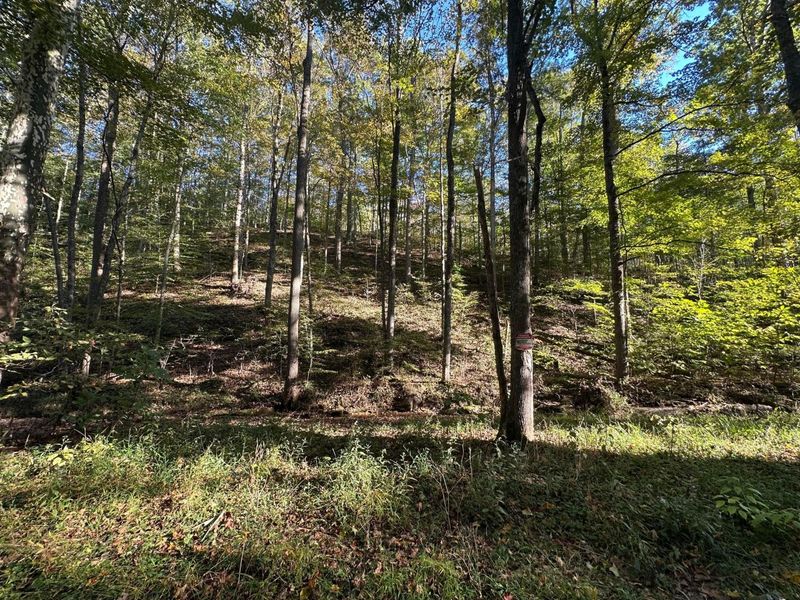 39454 Boston Road, Reedsville, OH 45772 Photo 8