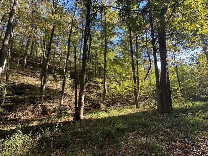 39454 Boston Road, Reedsville, OH 45772 Photo 9