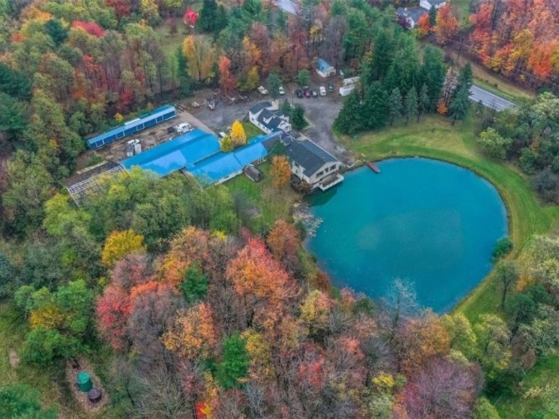 12234 Madison Road, Huntsburg, OH 44046 Photo 20