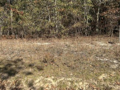 0 Hawthorne Trail, Saint Matthews, SC 29135