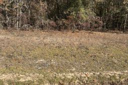 0 Hawthorne Trail photo 4