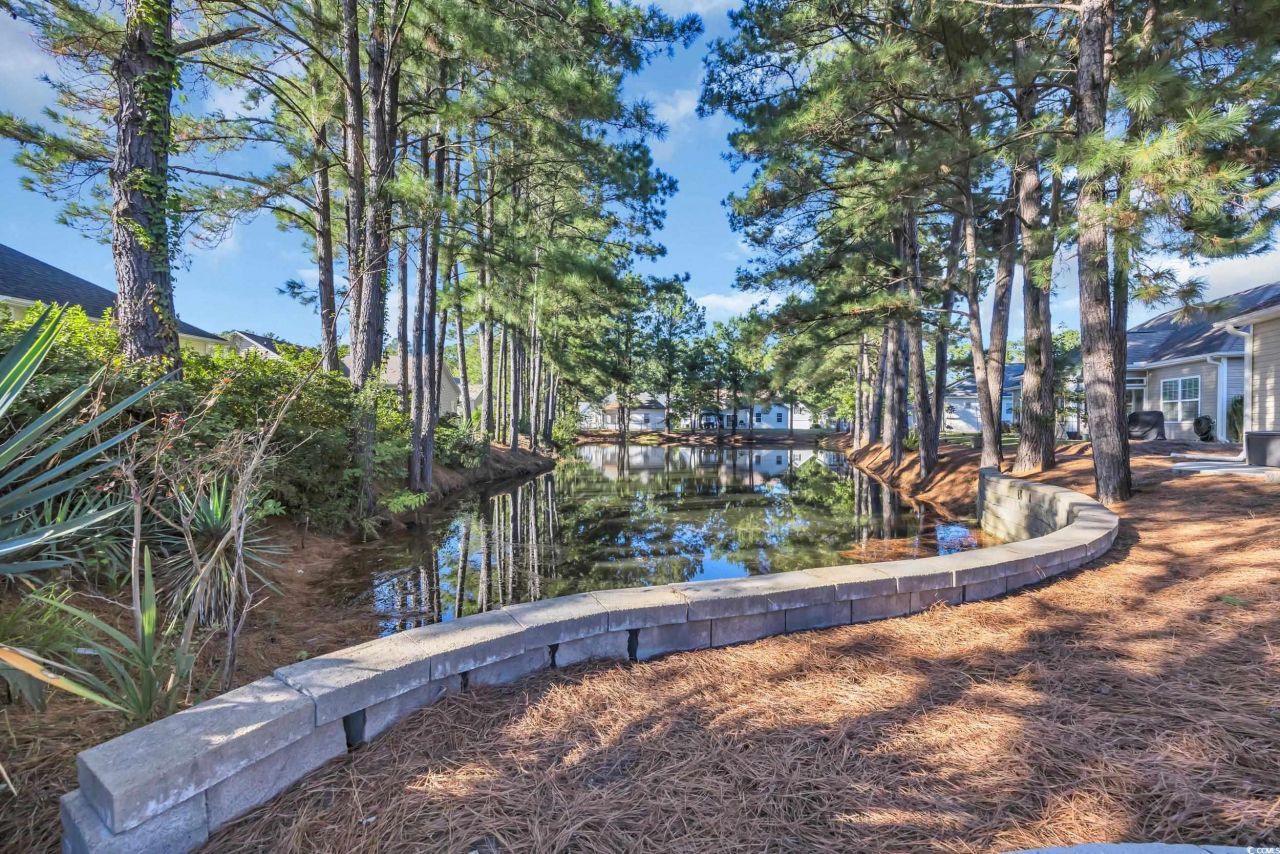 1501 Brighton Ln. Photo 32