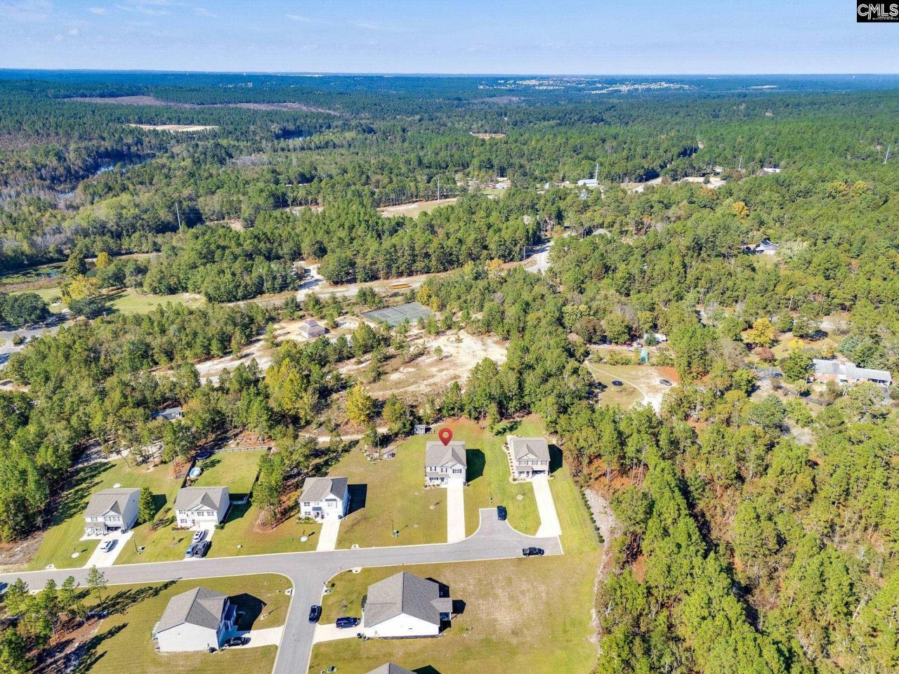 425 Blue Artesian Way Photo 44