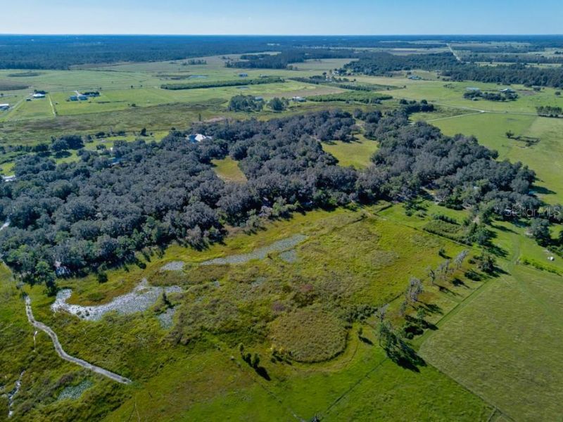 1915 Buffum Lake Trail, Fort Meade, FL 33841 Photo